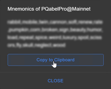Copy wallet mnemonic
